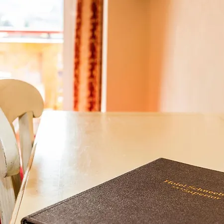 Schneeberger Hotel 4*