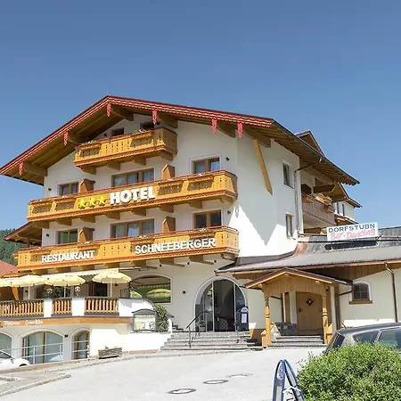 Otel Schneeberger Niederau